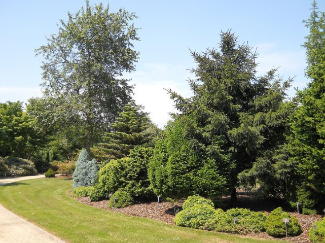 Arboretum 2 Het Leen, Belgium
